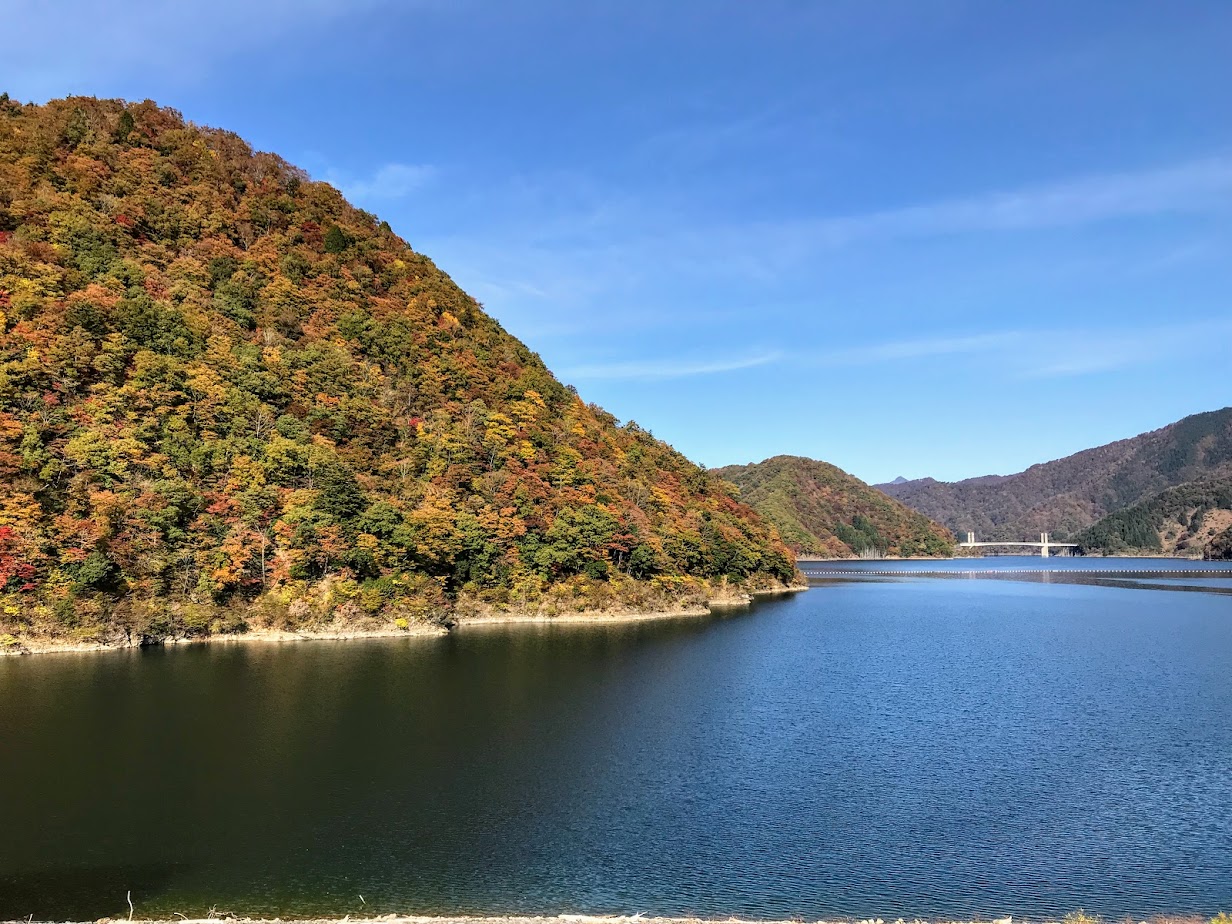 徳山ダムの紅葉
